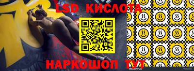 крисы Новокубанск