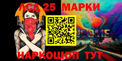 крисы Новокубанск
