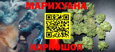 крисы Новокубанск