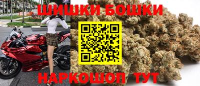 крисы Новокубанск