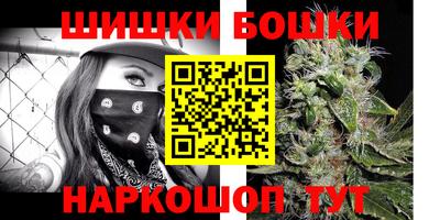 крисы Новокубанск