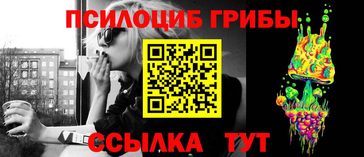 Галлюциногенные грибы Psilocybe  Вход с VPN  Сыктывкар 