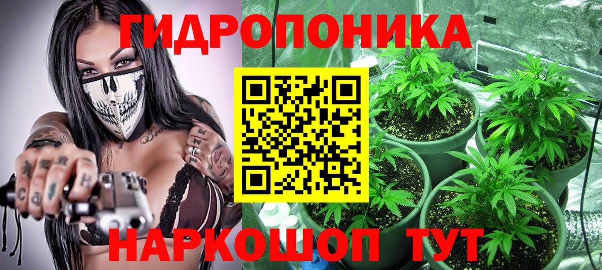 Сыктывкар  Конопля план  Марихуана гибрид  Конопля Ganja  Вход с VPN 